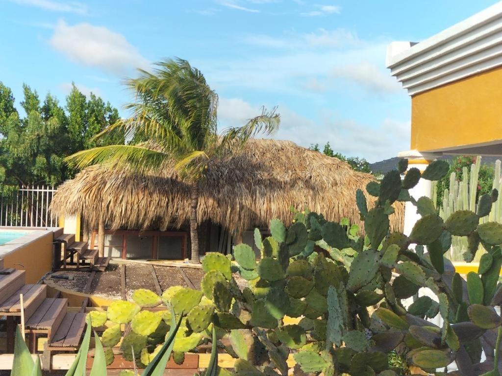 Landhuis Belnem Bonaire Playa Exteriör bild